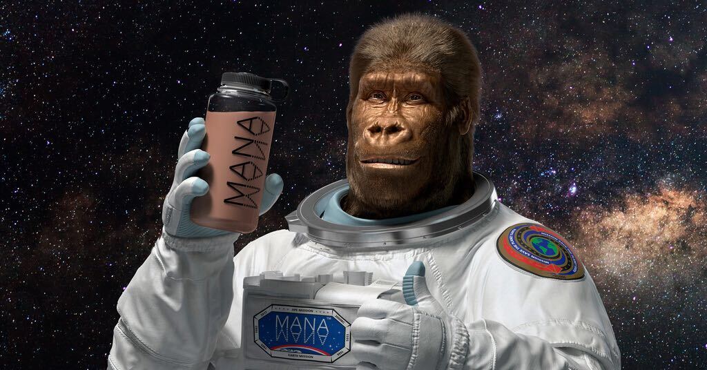 ManaPowder Choco und Family Pack Choco sind da!  <br>Die Generation Mark 6 ist somit vollständig